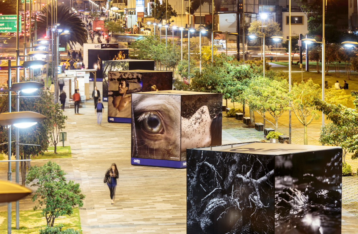 Exposición colectiva Paisajes interiores, FLUZ Quito, Secretaría de Cultura de Quito, 2015, Ecuador. Curaduría de Claudi Carreras.