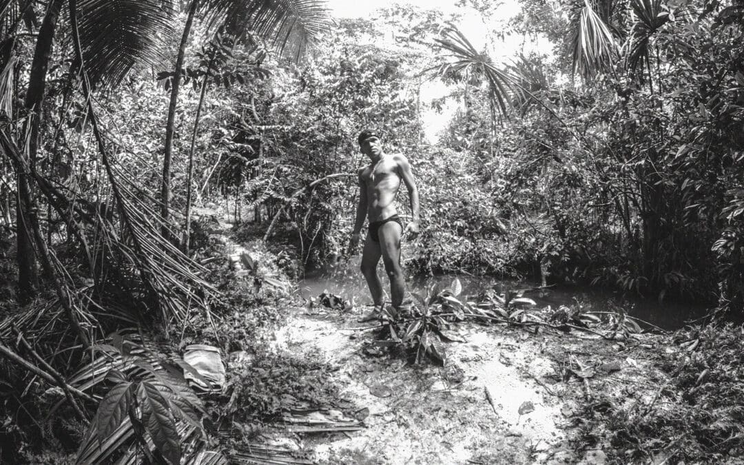 Desnudar la selva