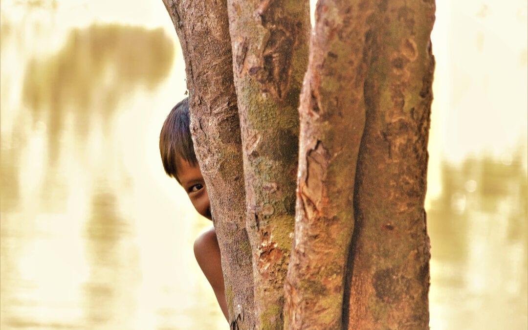 Reflejos y potencialidades: la fotografía de la Amazonía negra