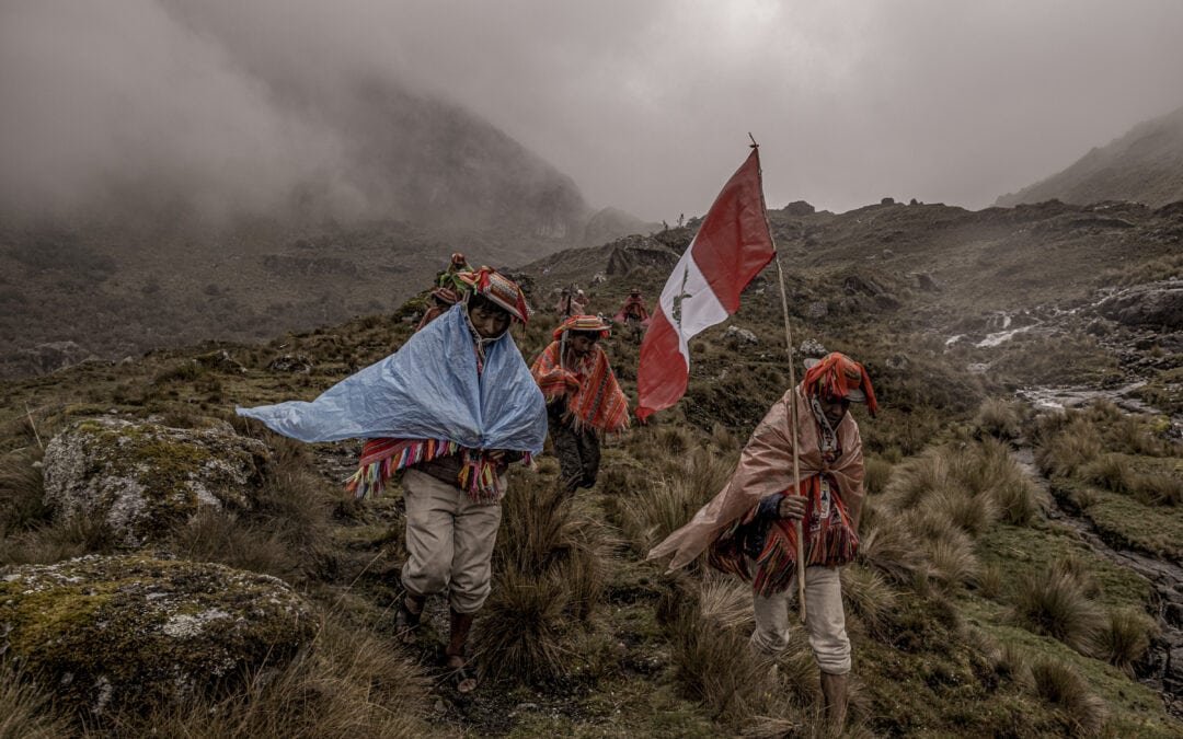 Semillas de agua: siembra de queñuas en los Andes