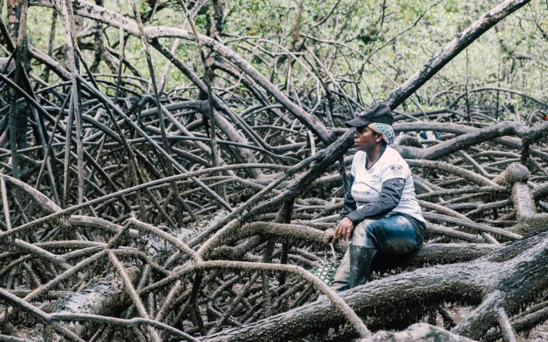 El manglar para el buen vivir