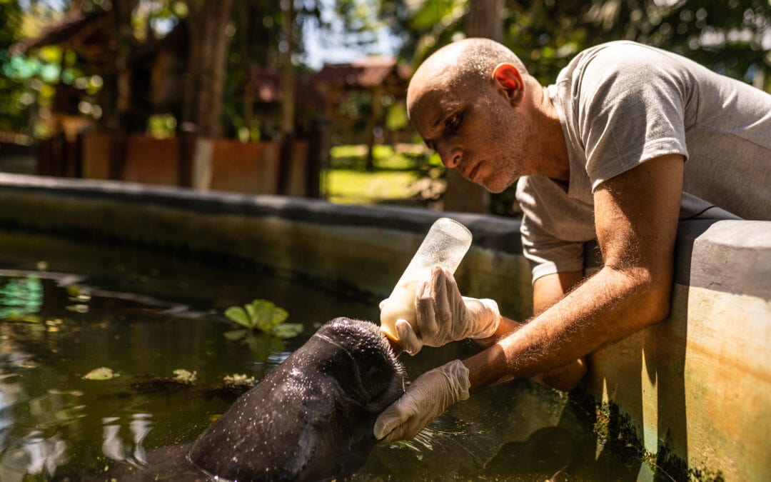 «Un niño emocionado con la naturaleza es un aliado para toda la vida»
