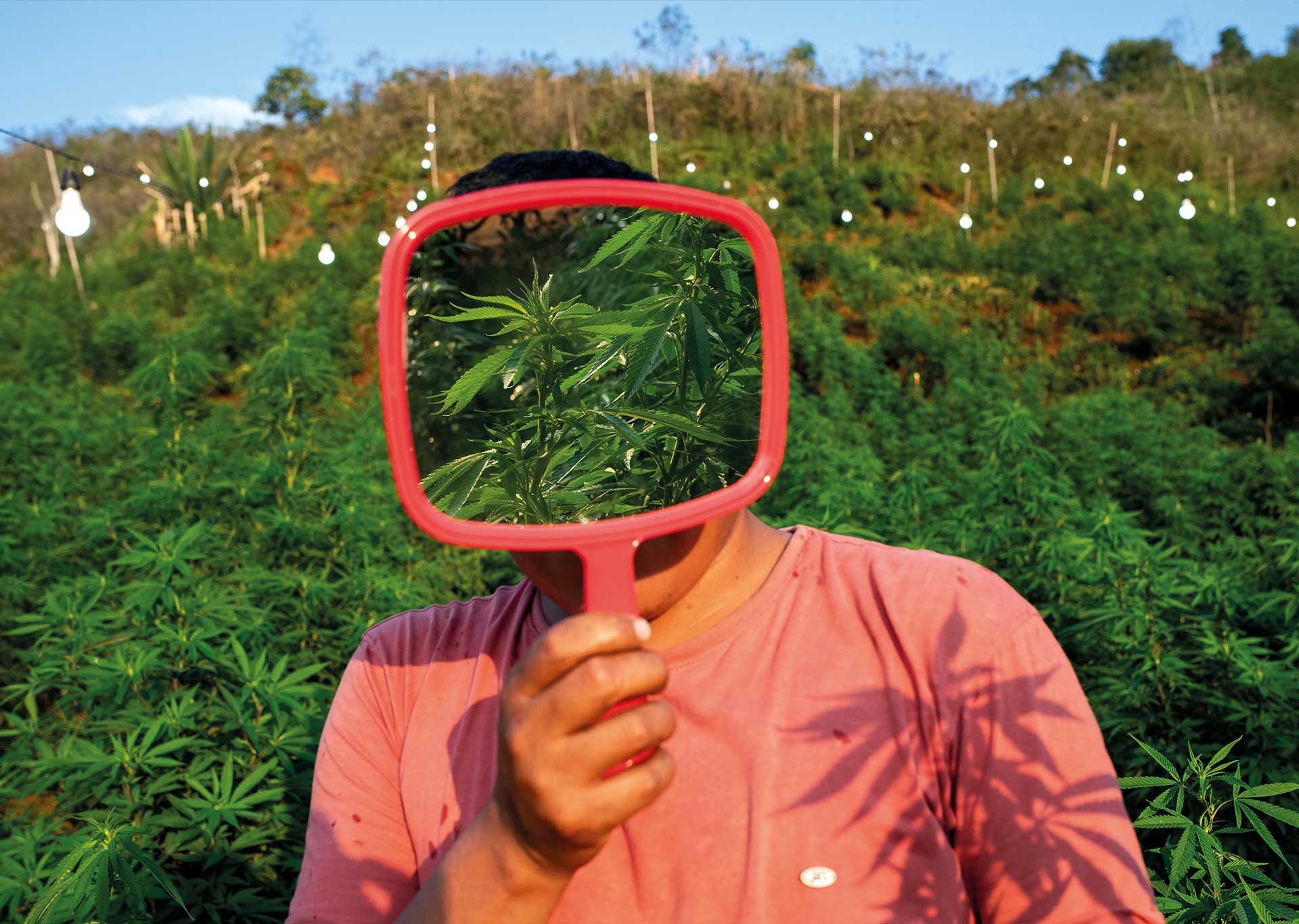 CarasCannabis_Web_09