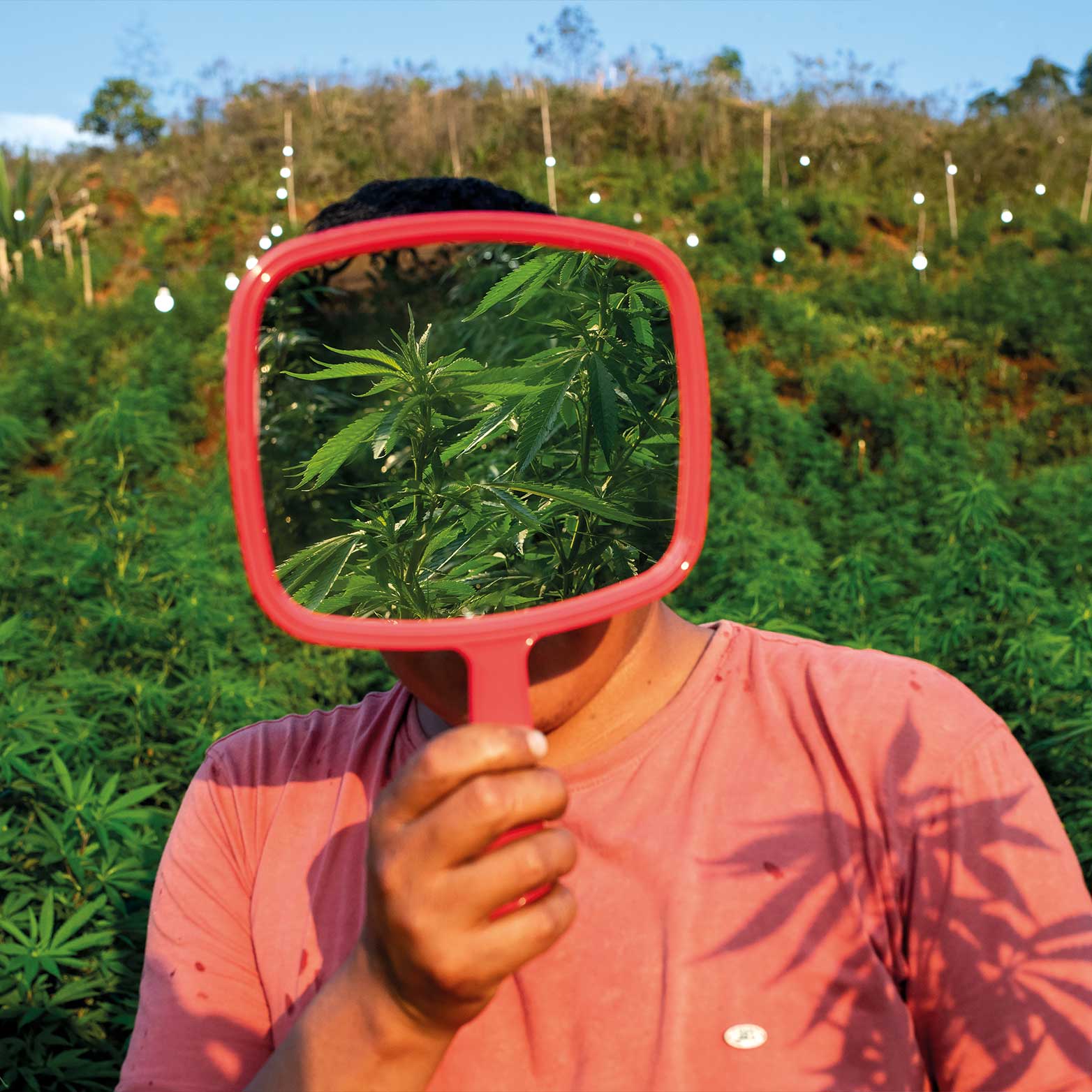 CarasCannabis_Web_09_Mobile