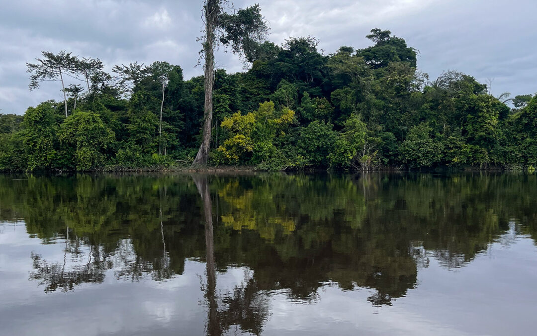 La Amazonía desgobernada: crónica de cuatro ríos en Loreto
