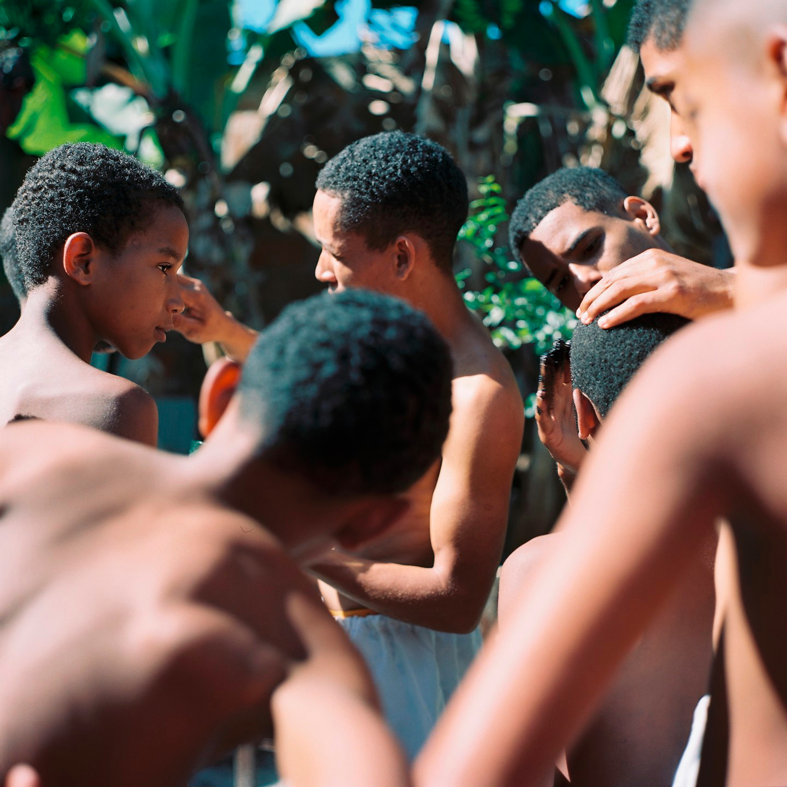 Ayahuasca Musuk